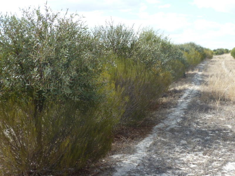 Lot 23435 Athol Road, Beverley WA 6304