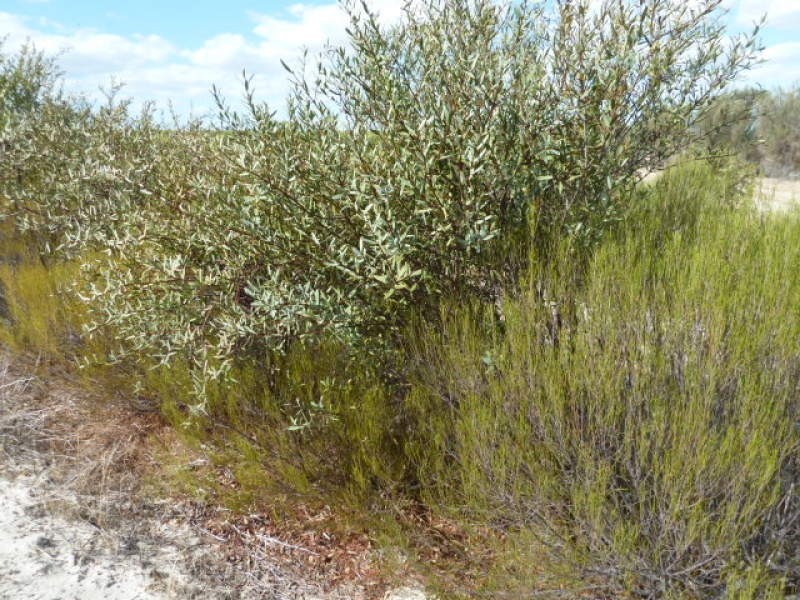 Lot 23435 Athol Road, Beverley WA 6304