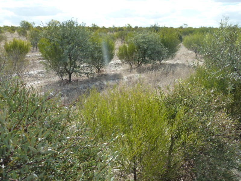 Lot 23435 Athol Road, Beverley WA 6304