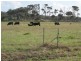 Lot 2767 Thomas Stanley Road, Kronkup WA 6330