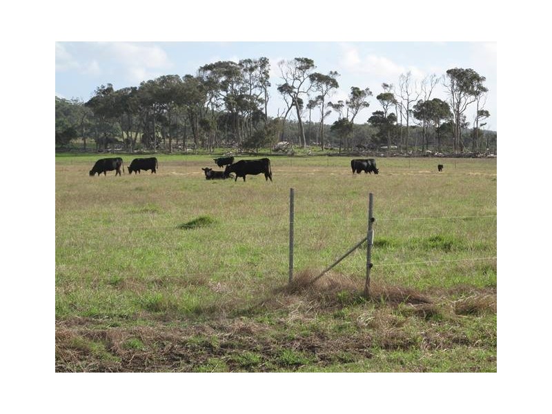 Lot 2767 Thomas Stanley Road, Kronkup WA 6330