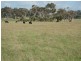 Lot 2767 Thomas Stanley Road, Kronkup WA 6330