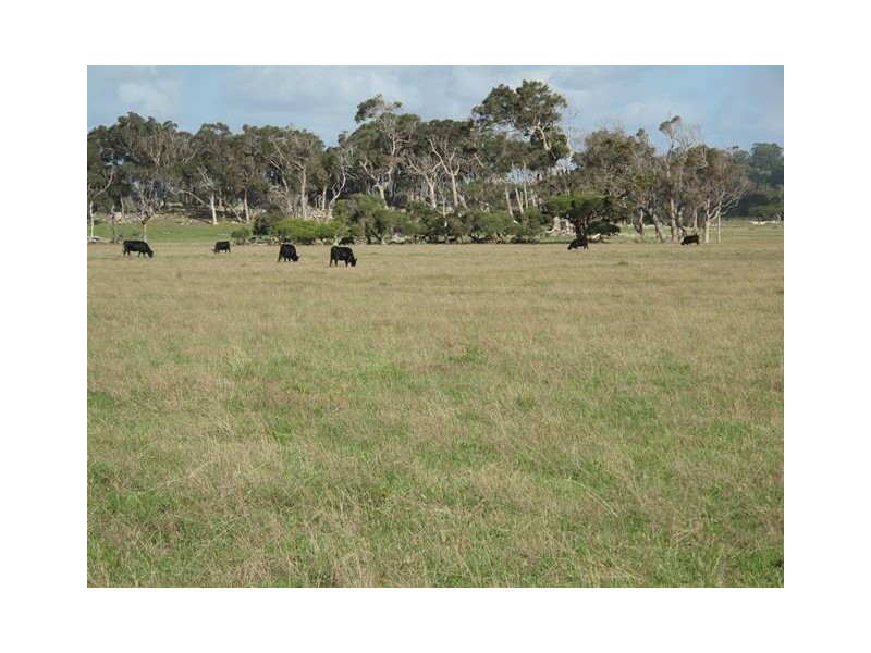 Lot 2767 Thomas Stanley Road, Kronkup WA 6330