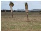 Lot 2767 Thomas Stanley Road, Kronkup WA 6330