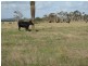 Lot 2767 Thomas Stanley Road, Kronkup WA 6330