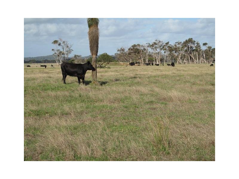 Lot 2767 Thomas Stanley Road, Kronkup WA 6330