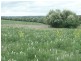 Lot 3695 Kokeby East Road, Beverley WA 6304