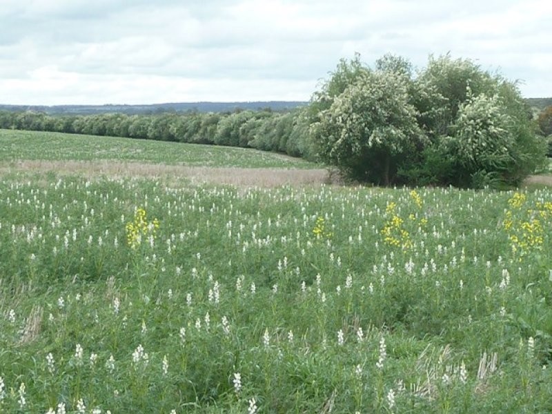 Lot 3695 Kokeby East Road, Beverley WA 6304