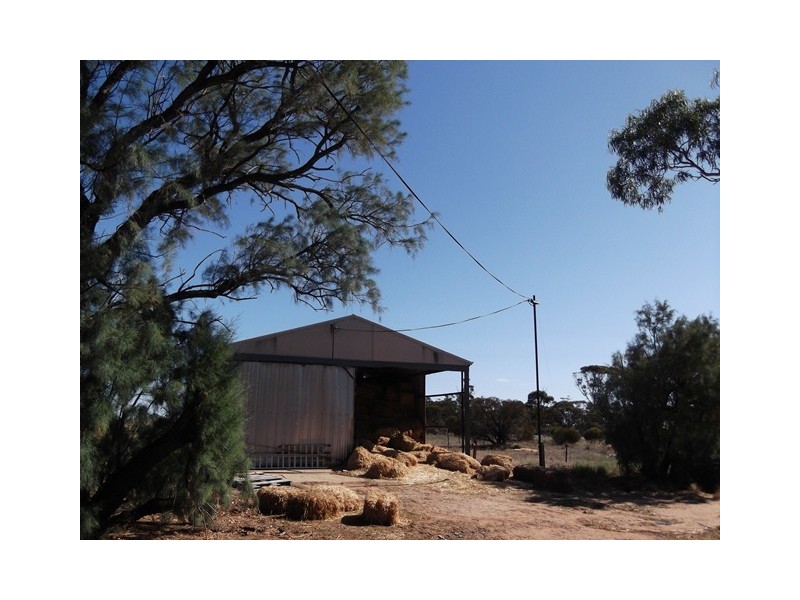 3181 Cunderdin-Wyalkatchem Rd, Wyalkatchem WA 6485