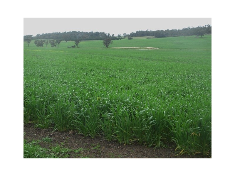 3380 Cranbrook-Frankland Road, Cranbrook WA 6321