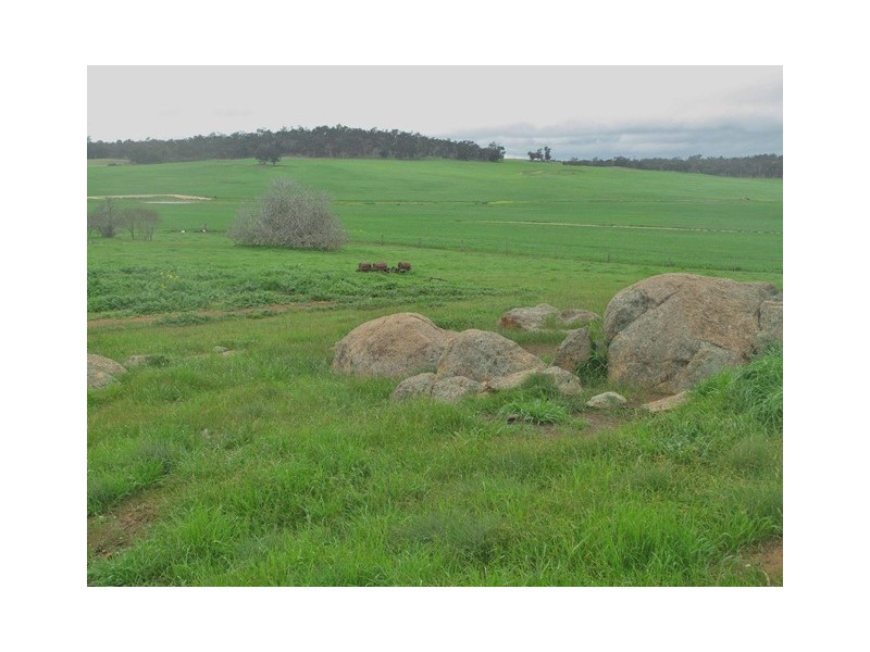 3380 Cranbrook-Frankland Road, Cranbrook WA 6321