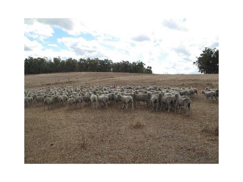 4257 Parker Road, Denmark WA 6333