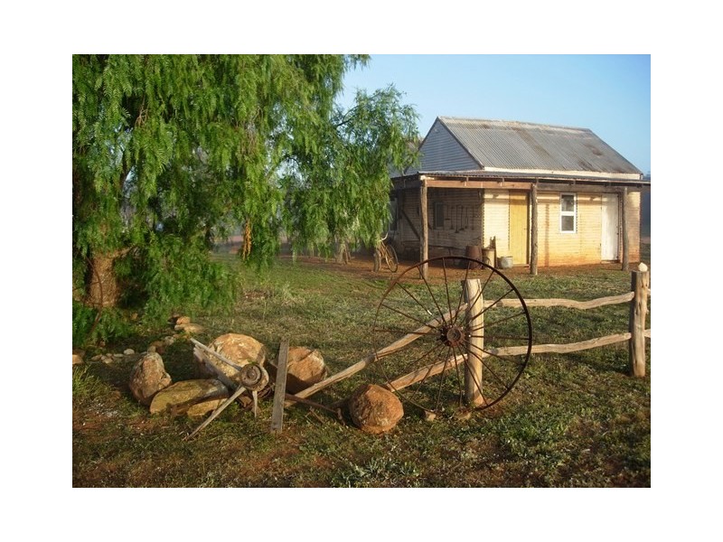 ‘Wandina Station’, Mullewa WA 6630