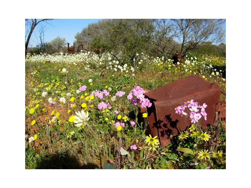 ‘Wandina Station’, Mullewa WA 6630