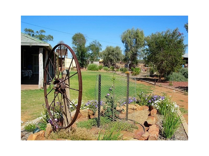 ‘Wandina Station’, Mullewa WA 6630 Primaries Real Estate Withdrawn