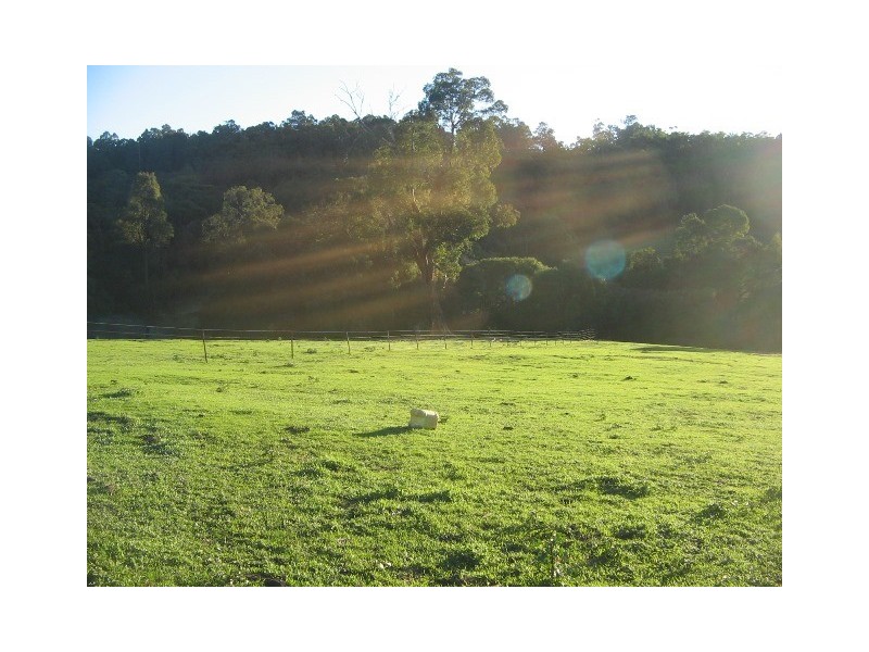 Lot 1393 Ferguson Road, Wellington Mill WA 6236