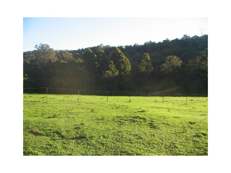 Lot 1393 Ferguson Road, Wellington Mill WA 6236