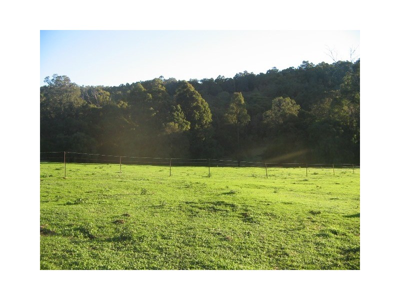 Lot 1393 Ferguson Road, Wellington Mill WA 6236