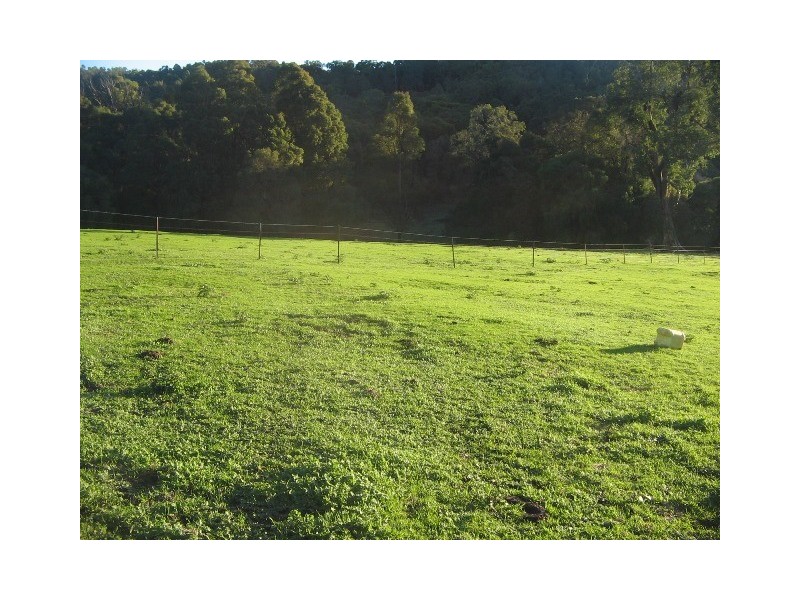 Lot 1393 Ferguson Road, Wellington Mill WA 6236