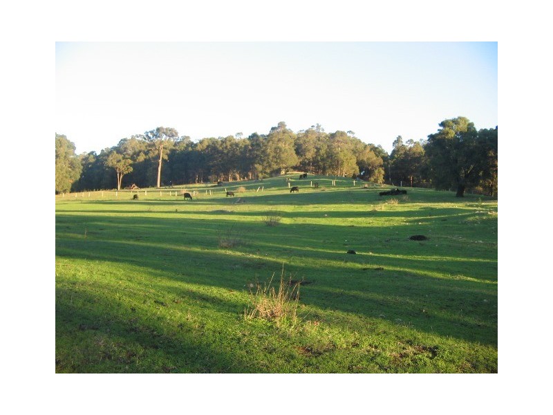 Lot 1393 Ferguson Road, Wellington Mill WA 6236