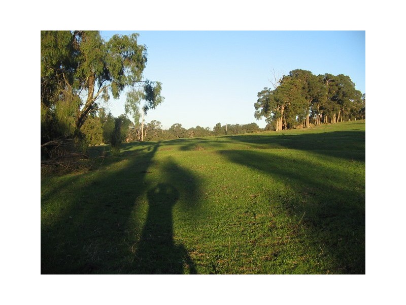 Lot 1393 Ferguson Road, Wellington Mill WA 6236