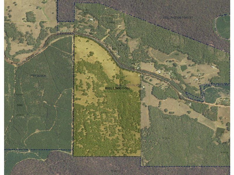 Lot 1393 Ferguson Road, Wellington Mill WA 6236