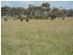 166 Thomas Stanley Road, Kronkup WA 6330
