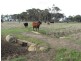 166 Thomas Stanley Road, Kronkup WA 6330