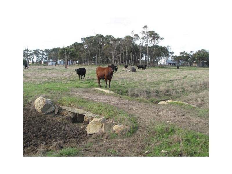 166 Thomas Stanley Road, Kronkup WA 6330