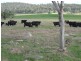 166 Thomas Stanley Road, Kronkup WA 6330