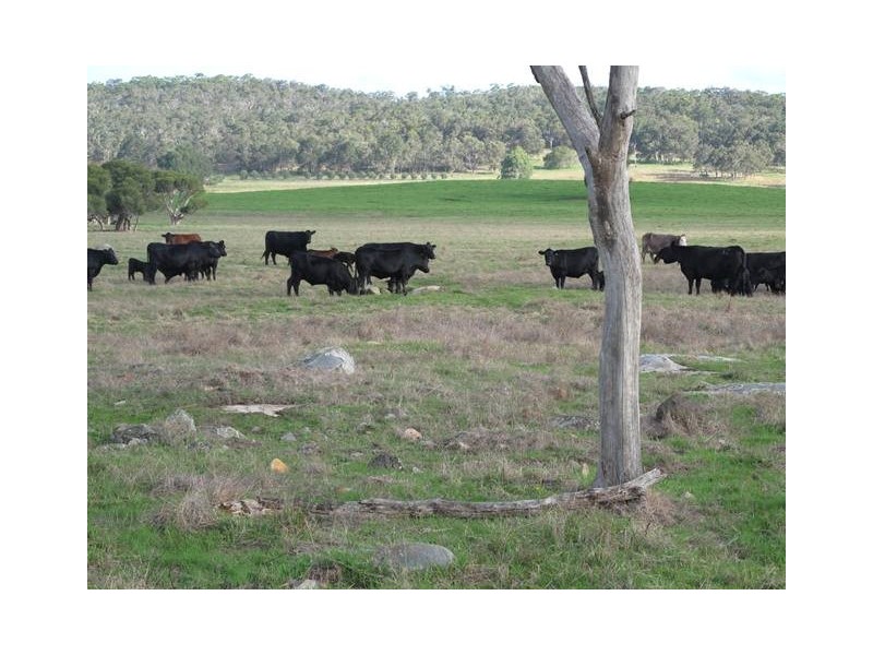 166 Thomas Stanley Road, Kronkup WA 6330