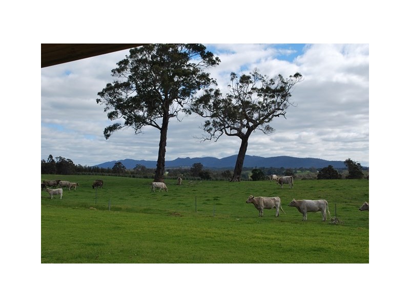 143 Carisma Road, Napier WA 6330