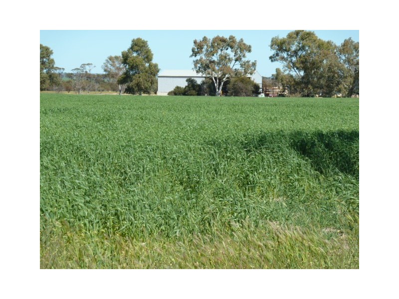 ‘Havenvale’ Billacabella-Doodenanning Road, Quairading WA 6383