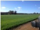 Part Lot M1397 Chitty Road, Hoddys Well WA 6566