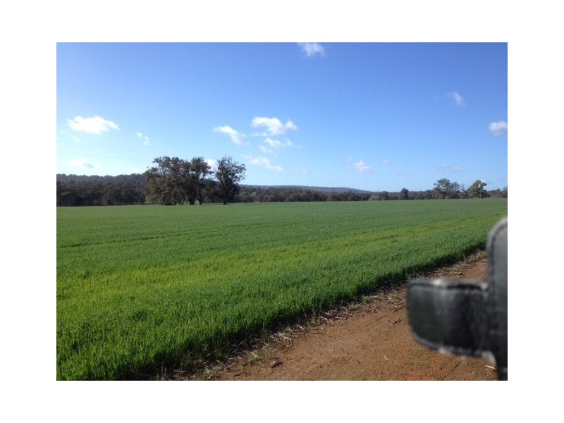Part Lot M1397 Chitty Road, Hoddys Well WA 6566