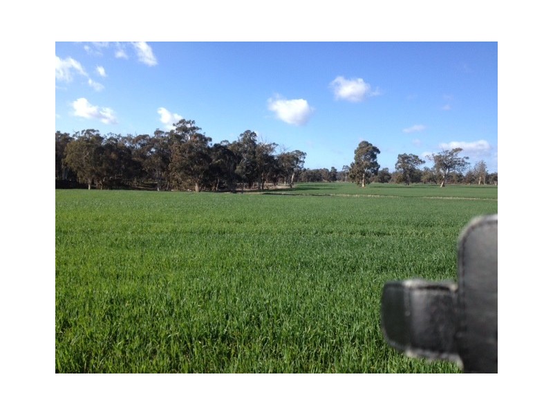 Part Lot M1397 Chitty Road, Hoddys Well WA 6566