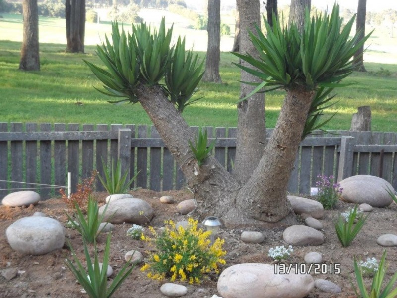 178 Fernhill Road, Manjimup WA 6258