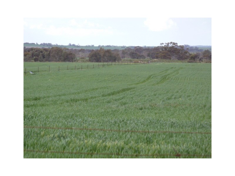 Lot 6921 and 7517 Yenyenning Lakes Road, Beverley WA 6304