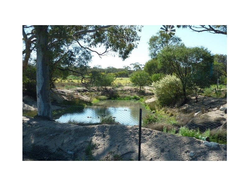 13 Lukin Street, Merredin WA 6415