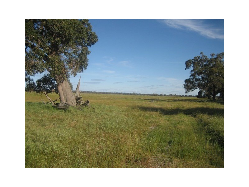 Lots 4 and 5 Dorsett Road, Waroona WA 6215