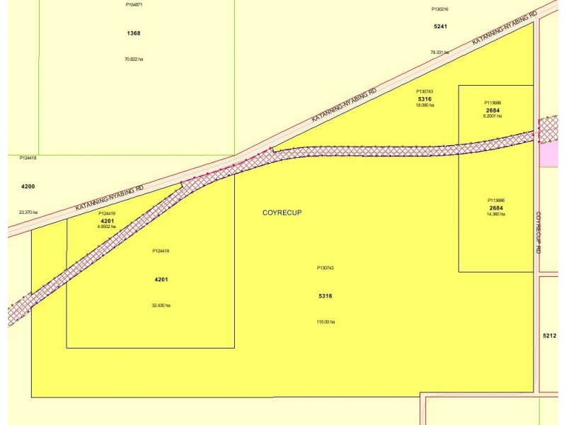 Newmans Block, Katanning-Nyabing and Coyrecup Rd, Coyrecup WA 6317