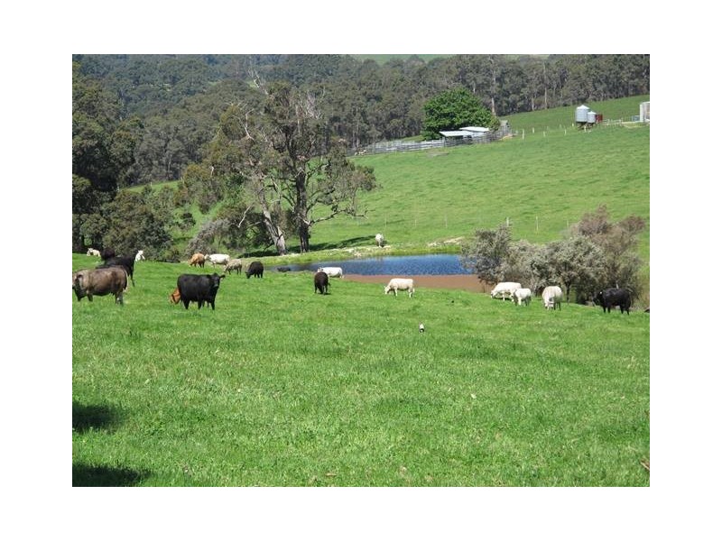 ‘Mt Romance Farm’ 1034 Tindale Road, Kentdale, Denmark WA 6333