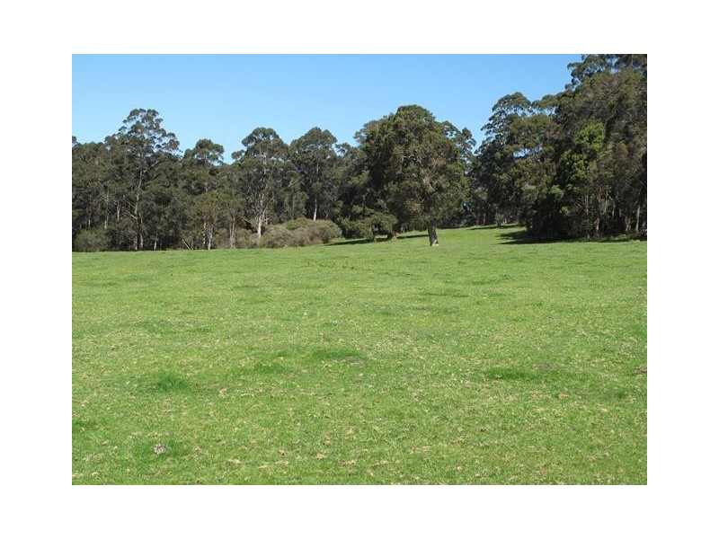 ‘Mt Romance Farm’ 1034 Tindale Road, Kentdale, Denmark WA 6333