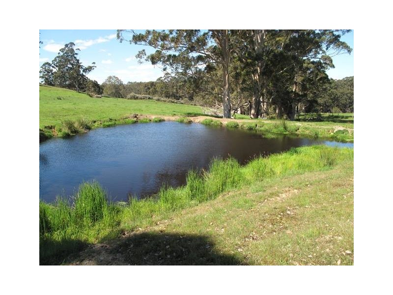 ‘Mt Romance Farm’ 1034 Tindale Road, Kentdale, Denmark WA 6333