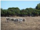 Lot 10 Ellen Road, Quairading WA 6383