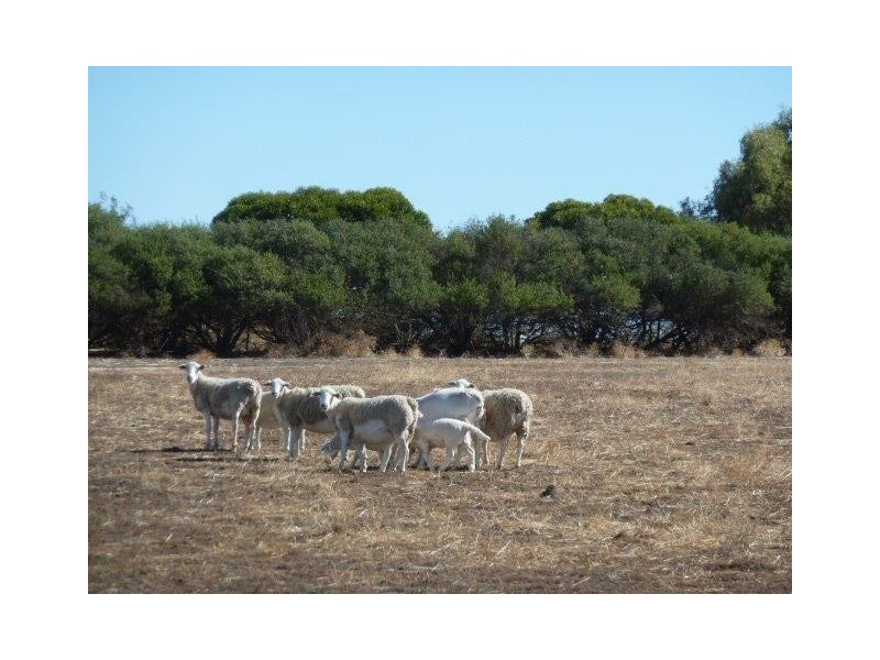 Lot 10 Ellen Road, Quairading WA 6383