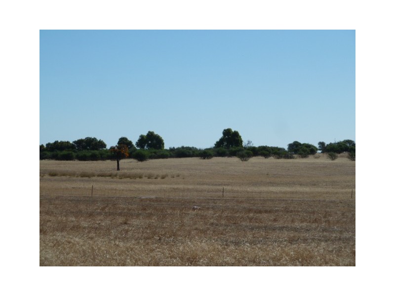 Lot 10 Ellen Road, Quairading WA 6383