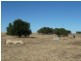 Lot 10 Ellen Road, Quairading WA 6383