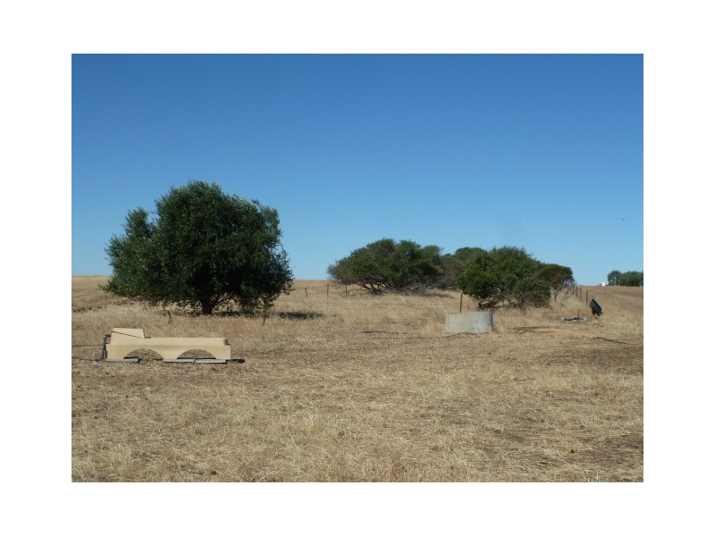 Lot 10 Ellen Road, Quairading WA 6383
