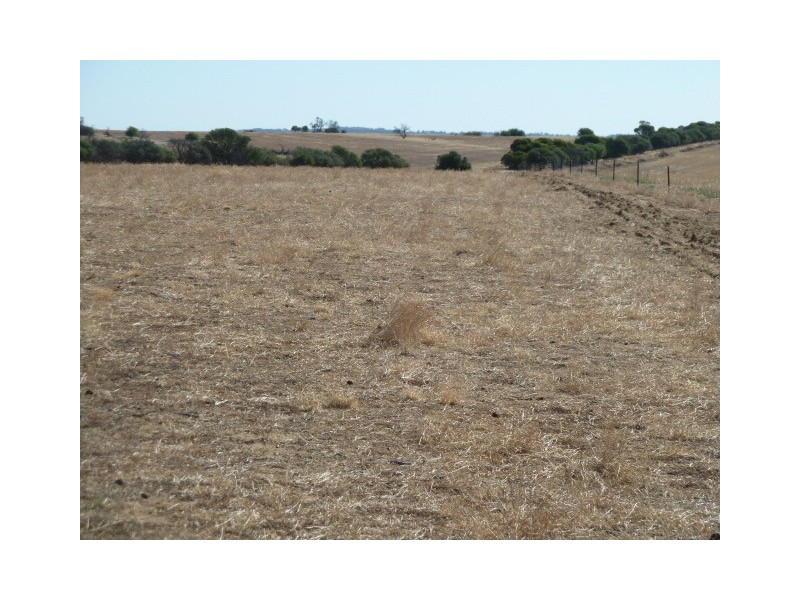 Lot 10 Ellen Road, Quairading WA 6383